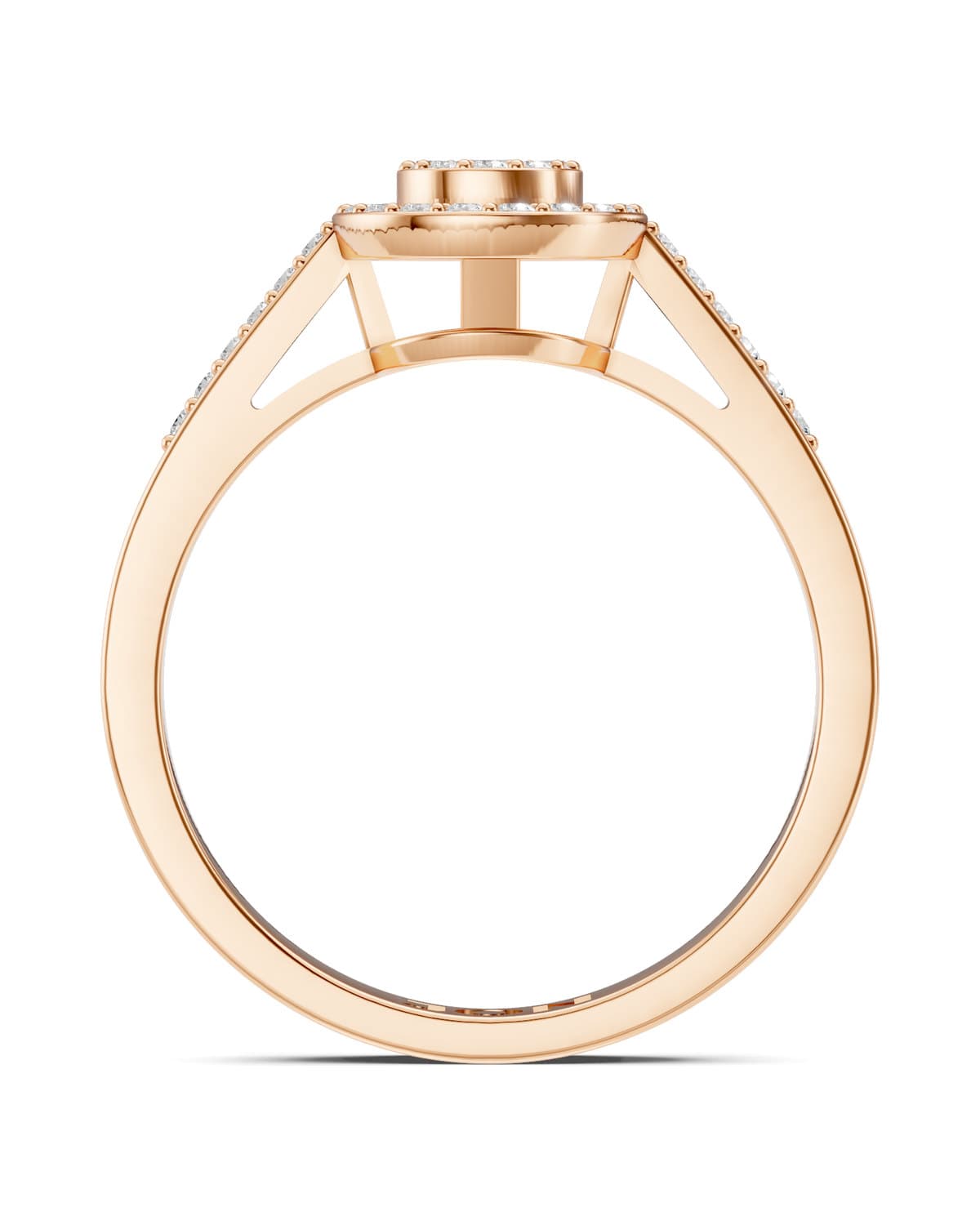 Pear Halo — J0041 (4)